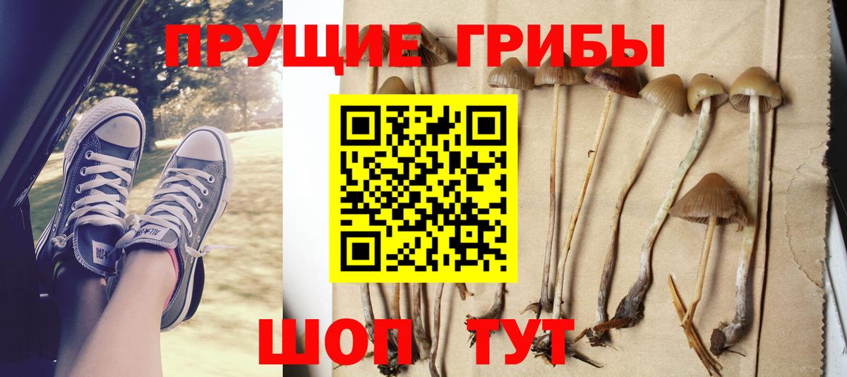 Псилоцибиновые грибы мухоморы Калач-на-Дону